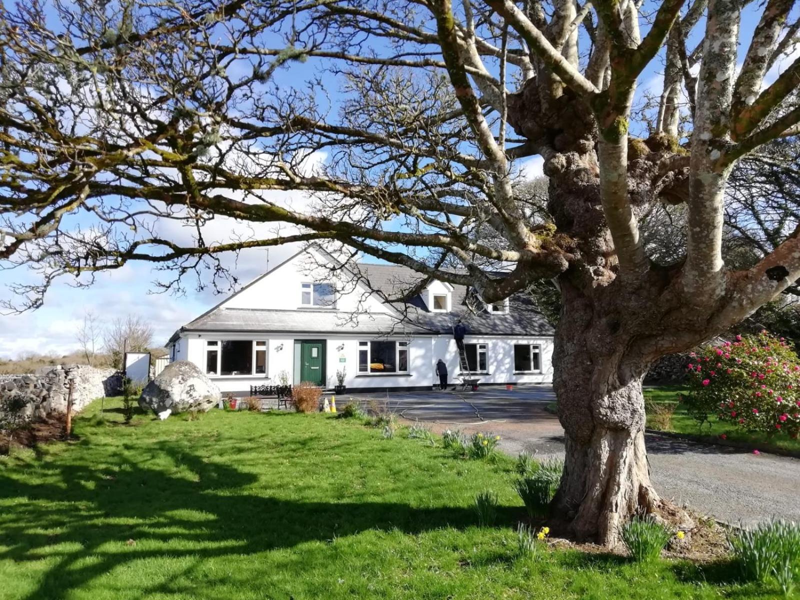 Mountain View Guesthouse Oughterard Dış mekan fotoğraf